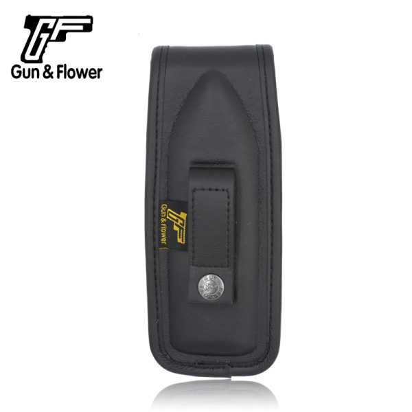 GF-LSP20 (2)